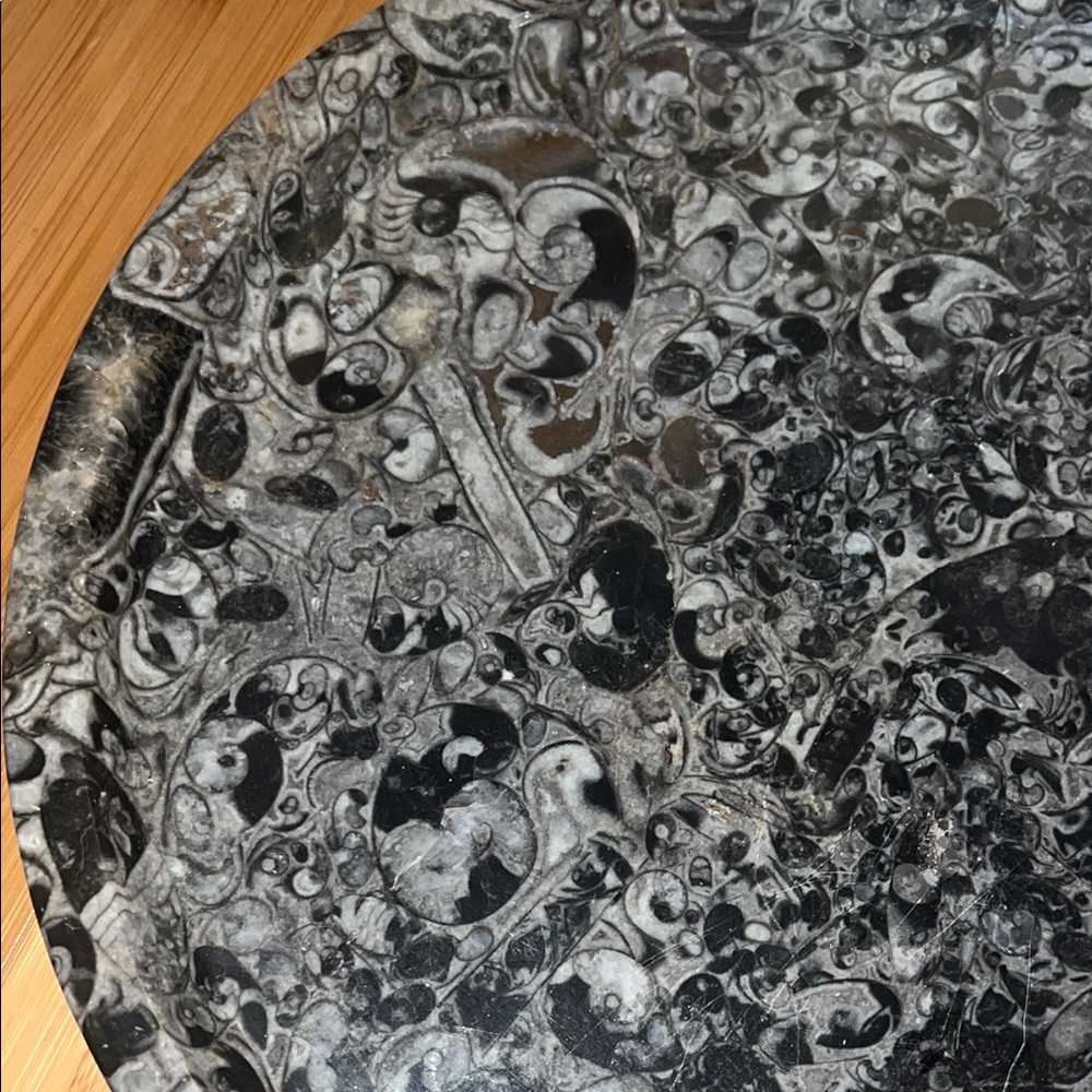 AMMONITE PLATE - Picture 4 of 10
